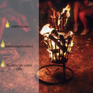 Leña de Haya FLAMEUP Selección | 30 kg, Secada al Horno (Humedad < 18%)