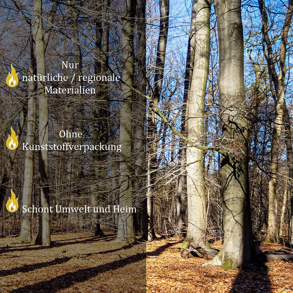 Leña de Haya FLAMEUP Selección | 30 kg, Secada al Horno (Humedad < 18%) - Image 2