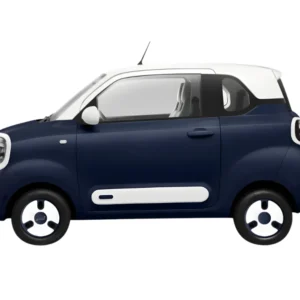 Coche eléctrico M2+